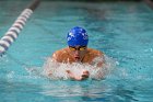 Swimming vs Bentley  Wheaton College Swimming & Diving vs Bentley College. - Photo by Keith Nordstrom : Wheaton, Swimming & Diving